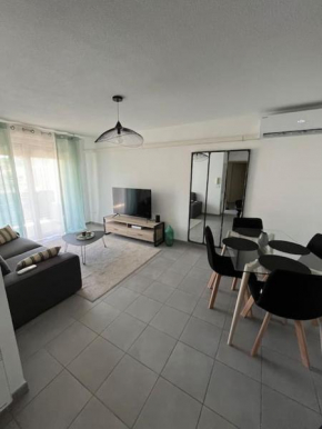 Joli appt 45 m2 avec terrasse, Lunel